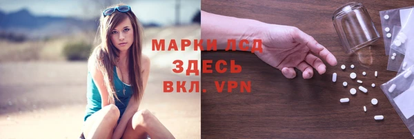 соль ск Инсар