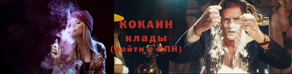скорость Каменногорск