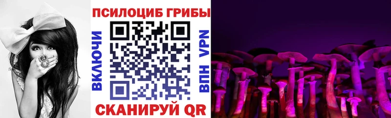 блэк спрут tor  Заполярный  Галлюциногенные грибы мицелий 